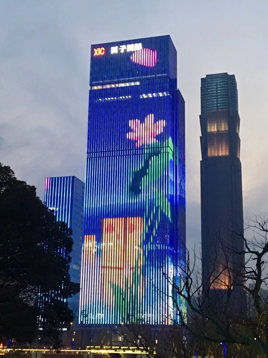公司團隊服務過的，客戶led燈珠應用案例-浙江西子大廈