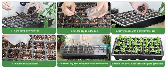 LED植物灯|LED植物生长灯|LED植物补光灯|带LED植物灯育苗盆|LED植物灯生产厂家