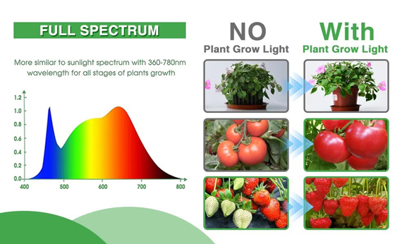 LED植物灯|LED植物生长灯|LED植物补光灯|带LED植物灯育苗盆|LED植物灯生产厂家