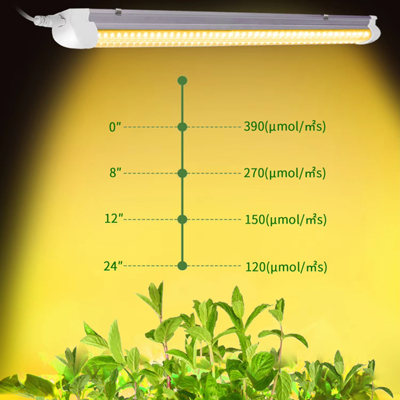LED植物灯|LED植物生长灯|LED植物补光灯|带LED植物灯育苗盆|LED植物灯生产厂家