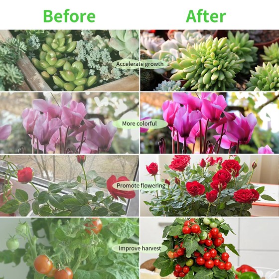 LED植物灯|LED植物生长灯|LED植物补光灯|带LED植物灯育苗盆|LED植物灯生产厂家