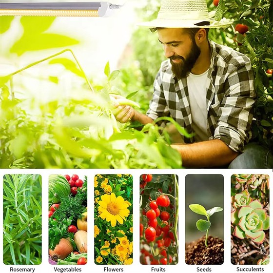 LED植物灯|LED植物生长灯|LED植物补光灯|带LED植物灯育苗盆|LED植物灯生产厂家