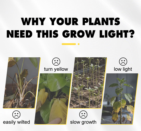 LED植物灯|LED植物生长灯|LED植物补光灯|带LED植物灯育苗盆|LED植物灯生产厂家