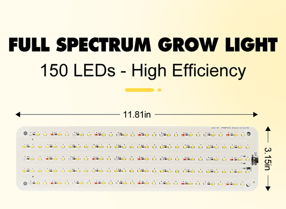 LED植物灯|LED植物生长灯|LED植物补光灯|带LED植物灯育苗盆|LED植物灯生产厂家