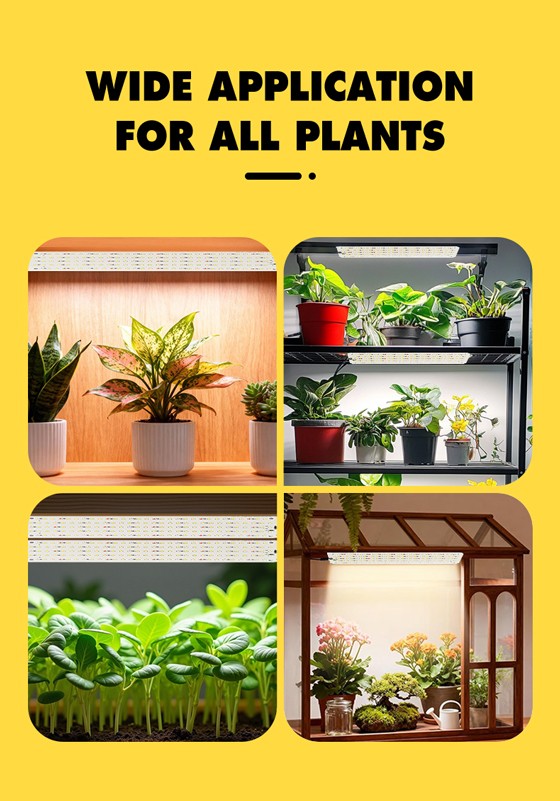LED植物灯|LED植物生长灯|LED植物补光灯|带LED植物灯育苗盆|LED植物灯生产厂家