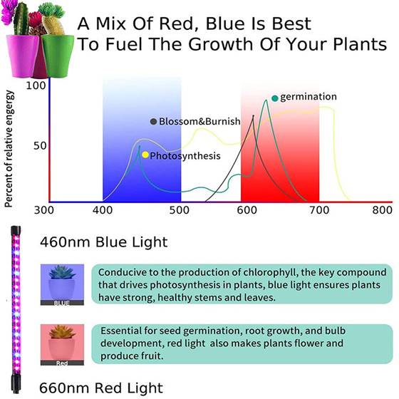 LED植物灯|LED植物生长灯|LED植物补光灯|带LED植物灯育苗盆|LED植物灯生产厂家