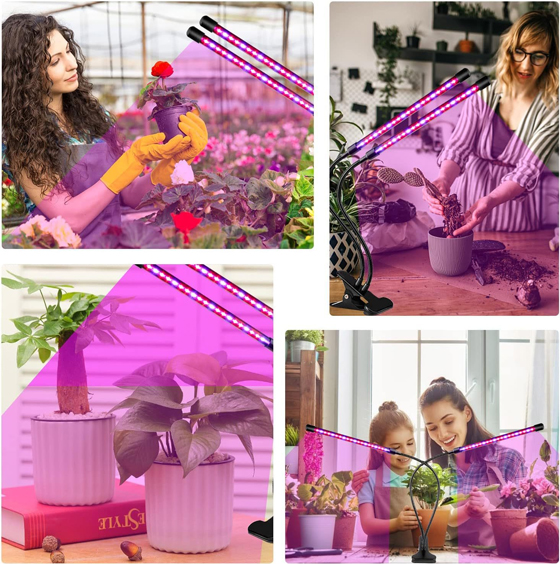LED植物灯|LED植物生长灯|LED植物补光灯|带LED植物灯育苗盆|LED植物灯生产厂家