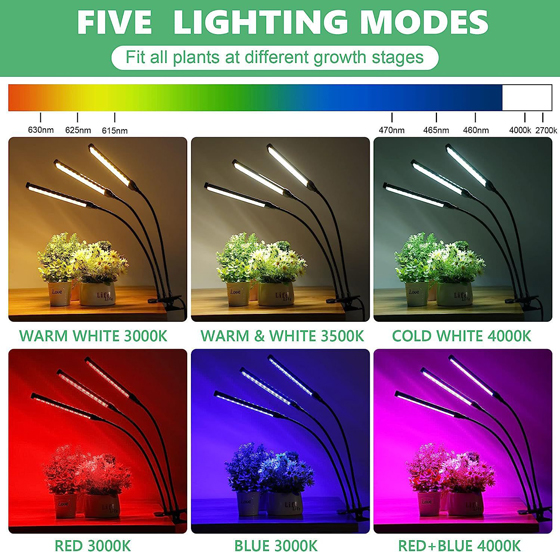 LED植物灯|LED植物生长灯|LED植物补光灯|带LED植物灯育苗盆|LED植物灯生产厂家