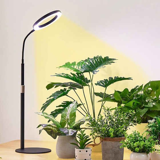 LED植物灯|LED植物生长灯|LED植物补光灯|带LED植物灯育苗盆|LED植物灯生产厂家