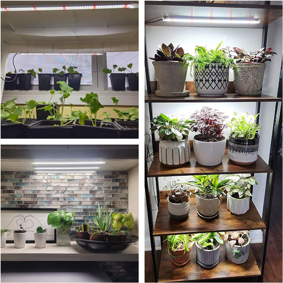 LED植物灯|LED植物生长灯|LED植物补光灯|带LED植物灯育苗盆|LED植物灯生产厂家