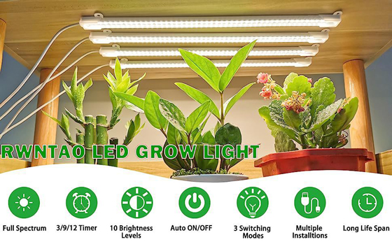 LED植物灯|LED植物生长灯|LED植物补光灯|带LED植物灯育苗盆|LED植物灯生产厂家